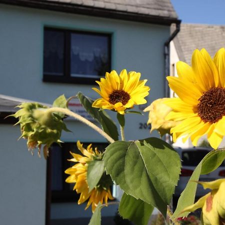 Ferienwohnung Lippmann Grosshartmannsdorf Zewnętrze zdjęcie